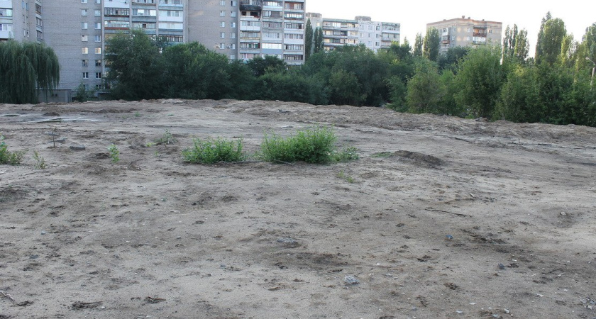 Общественники предложили устроить парк на месте свалки в Воронеже
