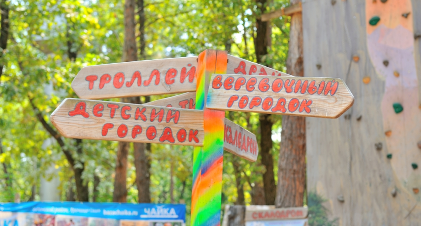 Воронежские дети летом отдохнули на миллион рублей дешевле