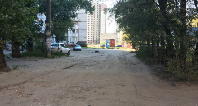 «Фронтовики» сдержанно похвалили воронежские власти