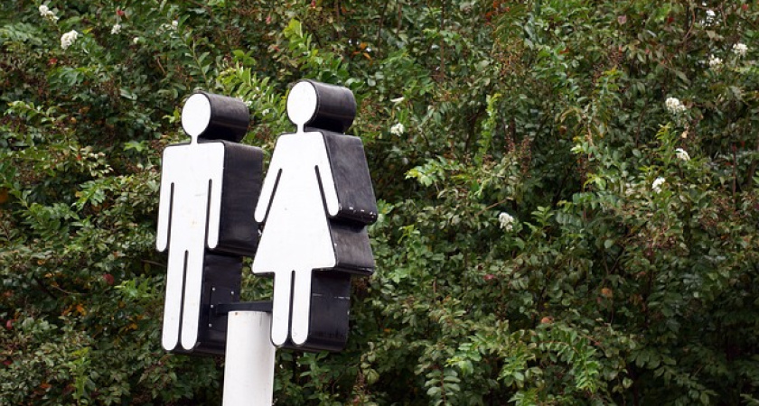 В Воронежской области потратят 400 тыс. рублей на туалет