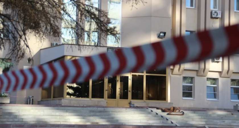 В Воронеже «телефонные террористы» выманили всех кинологов города