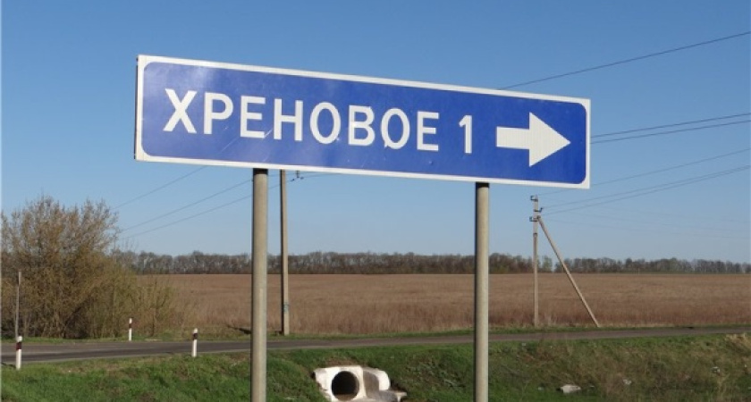 Главу Новоусманского района воронежское правительство подберет не сразу