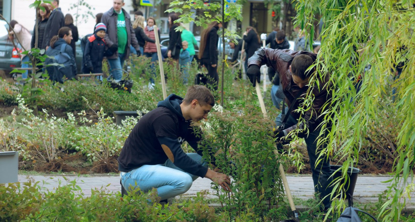 В Воронеже появился первый в России IT-сквер