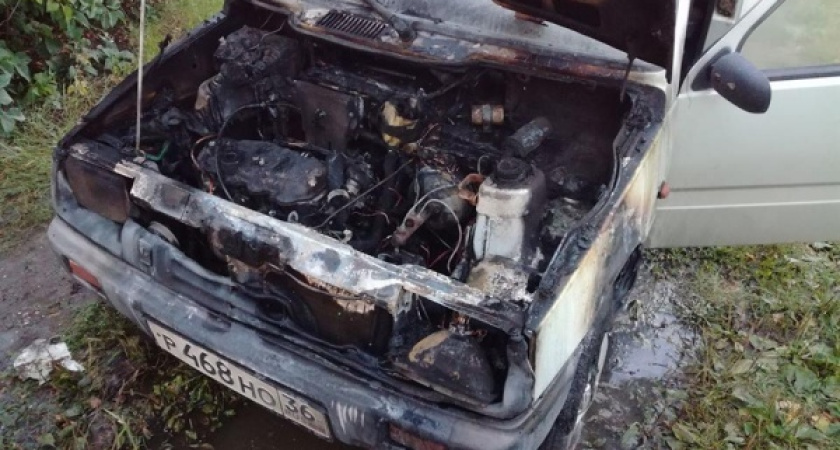 Воронежского общественника через месяц известили об уголовном деле