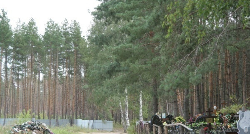 С воронежских кладбищ вывезли 475 вагонов мусора 
