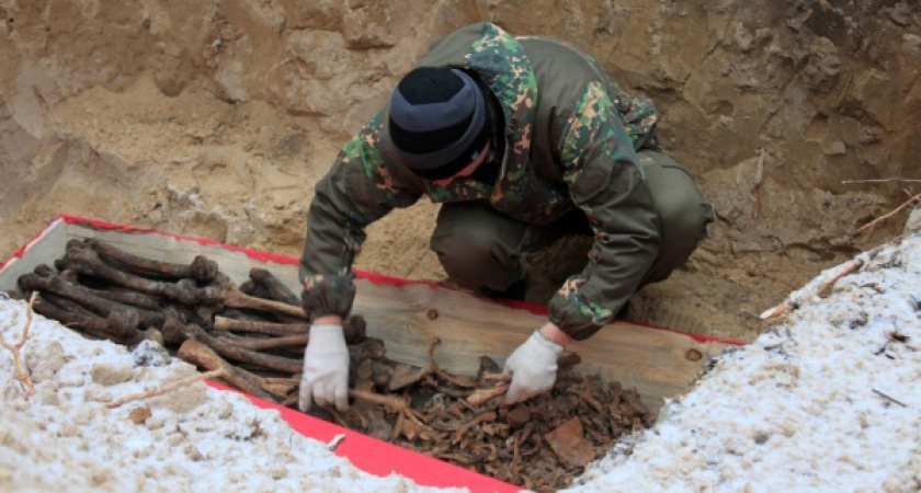 Воронежские власти ищут подрядчика для раскопок на месте расстрелов в Дубовке