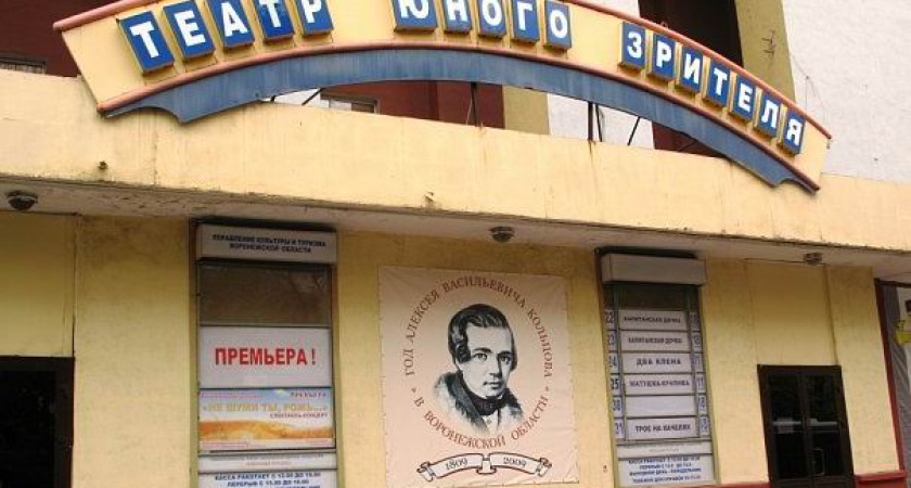 ТЮЗ и «Шут» подготовят для воронежских зрителей новые представления