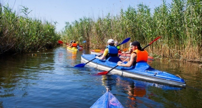 Воронежский туризм перестанет быть культурным