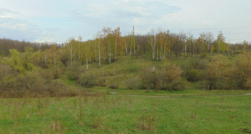 Воронежский вуз нашел подрядчика для презентации проекта ботанического сада