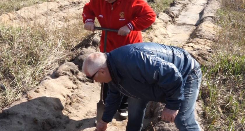 Под Воронежем продолжается восстановление лесов после стихийных пожаров 2010 года 