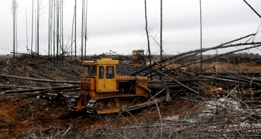 Под Воронежем аграрная компания захватила казенные земли