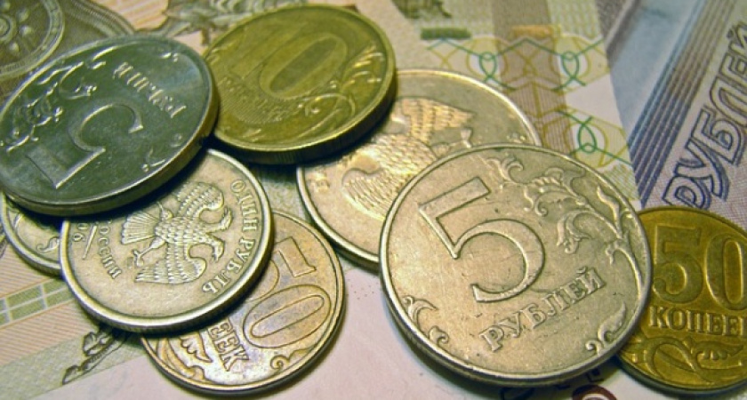 Воронежцам прописали прожить месяц на 8 563 рубля 