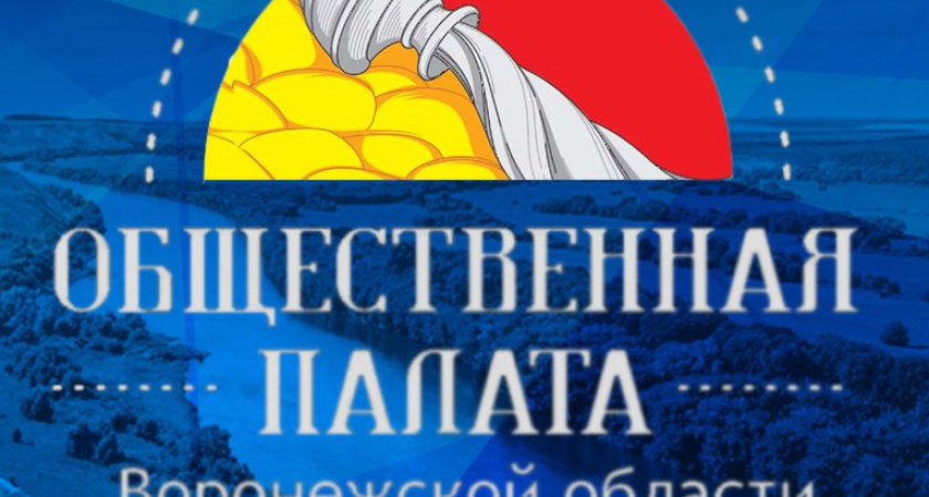 В Воронежской области создали казенное учреждение для общественников