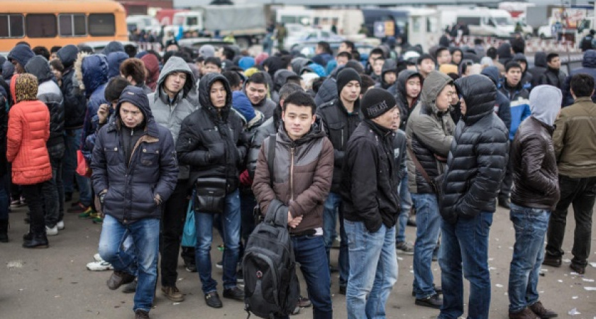 Воронежской области увеличили квоту на мигрантов