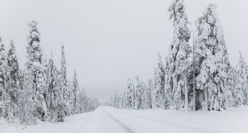 УФАС остановило подписание контрактов на обслуживание воронежских дорог 
