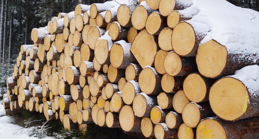 Воронежский суд впервые рассмотрит дело о давлении на бизнес