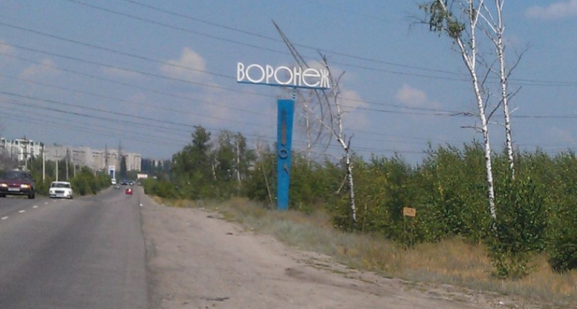 Банкротство и коррупция не помешали воронежской социально-политической устойчивости