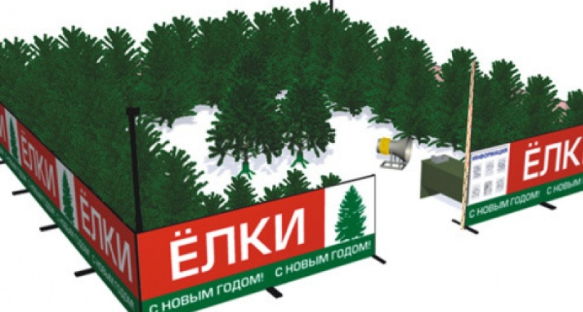 Вице-мэр Воронежа проверит торги  по елочным базарам 