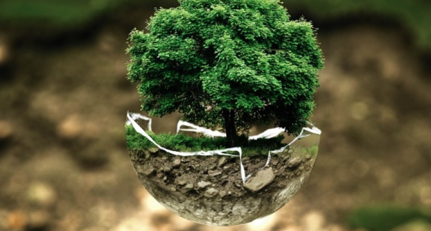 Воронежская область потеряла позиции в экологическом рейтинге