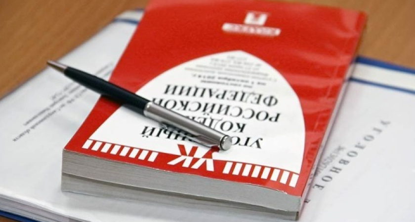 Бывшая сельская чиновница расплатится за махинации с землей под Воронежем