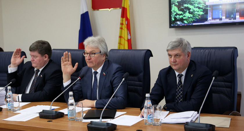 Казна Воронежа недополучила почти 500 млн рублей по имущественным налогам