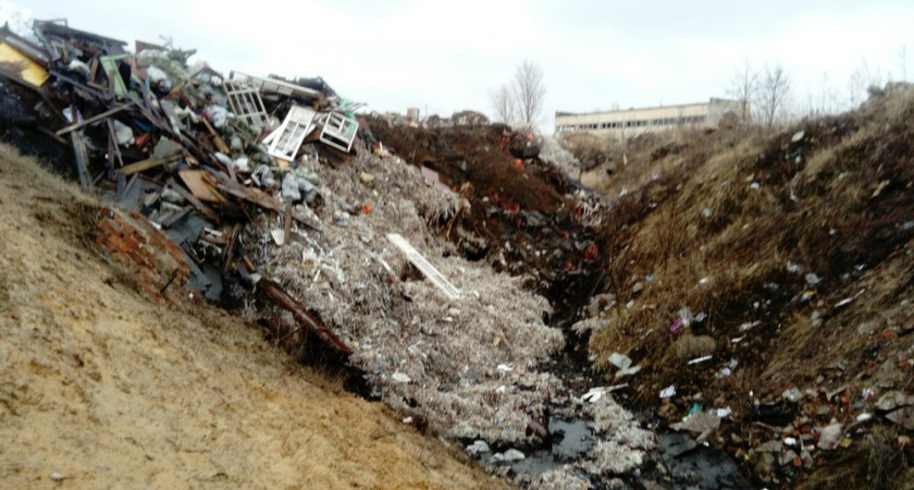 Воронежский мусор победил закон