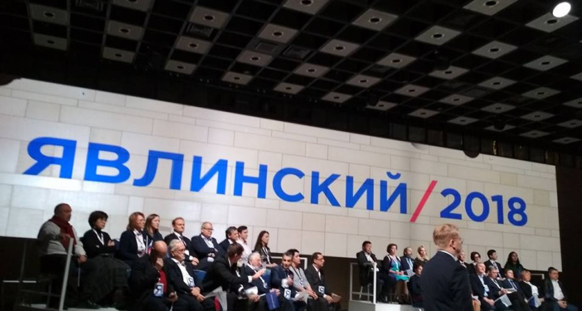 Воронежские «яблочники» поддержали основателя партии