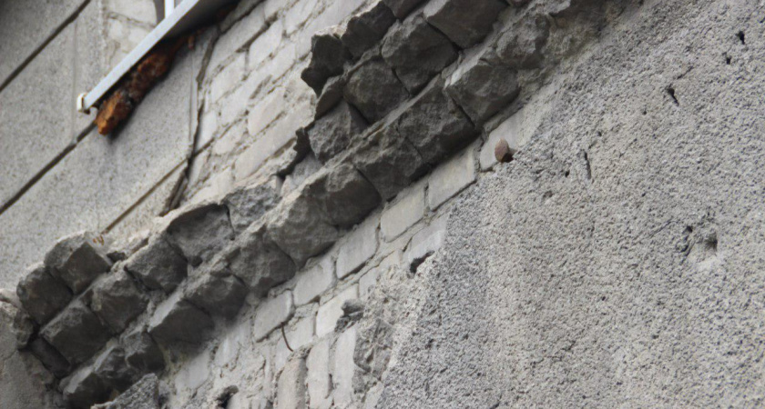 У ассоциации воронежских «укашек» появился сайт