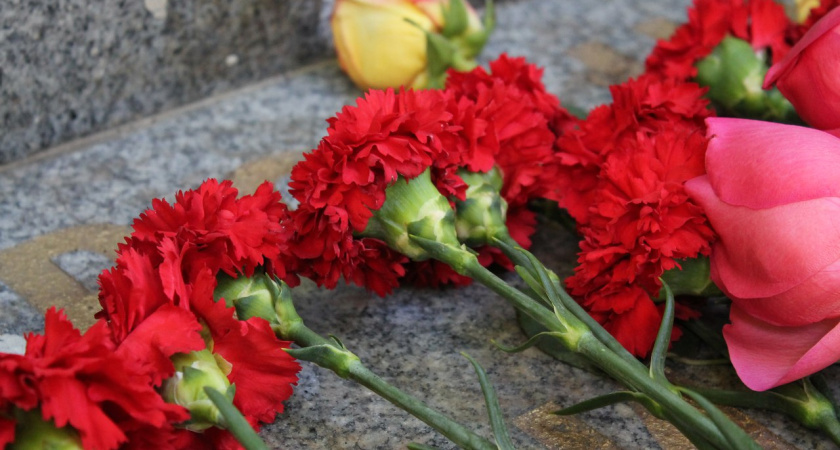 В Сирии погиб летчик из Воронежа