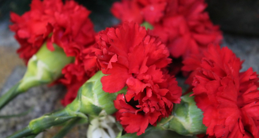 Президент присвоил погибшему в Сирии летчику из Воронежа звание Героя России