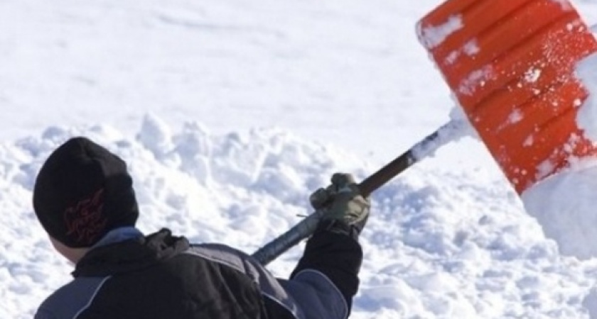 Мэрия определила дефицит дворников в Воронеже