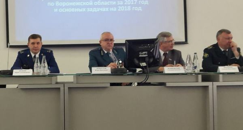 С помощью силовиков воронежские налоговики пополнили казну на 800 млн