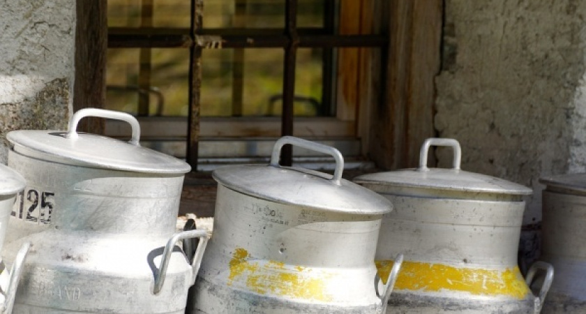 Крупные ритейлеры Черноземья воздержались от сотрудничества с Нальчикским молкомбинатом