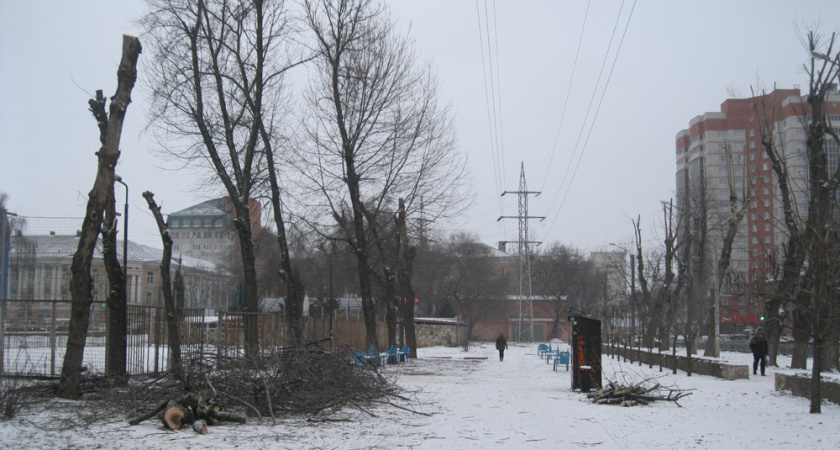 В Воронеже Комсомольский сквер обновят за 3 млн рублей