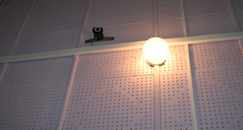 Воронежских селян смутило видеонаблюдение на президентских выборах