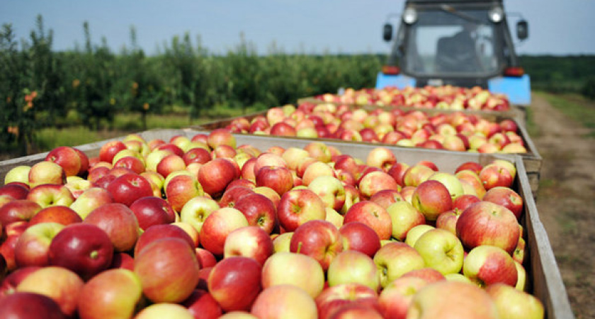 Воронежская инвестпрограмма пополнилась проектом сына областного депутата