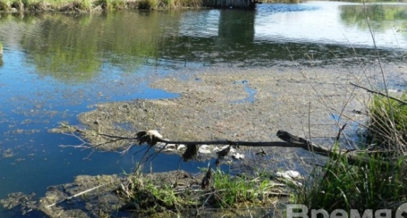 Масловский затон Воронежского водохранилища реабилитируют за 26,7 млн рублей