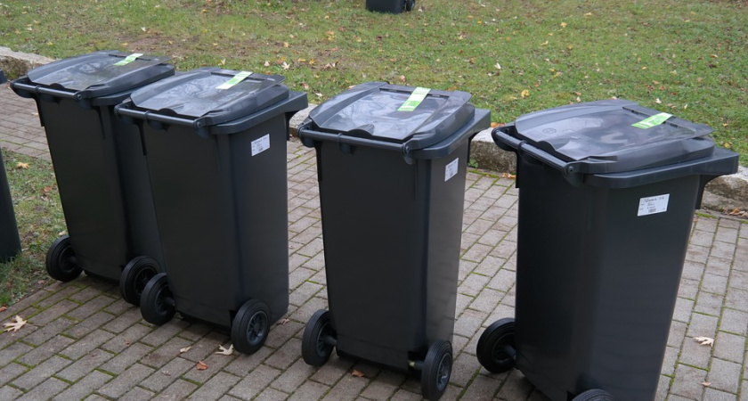 У Минприпроды нет замечаний к системе утилизации мусора в Воронежской области