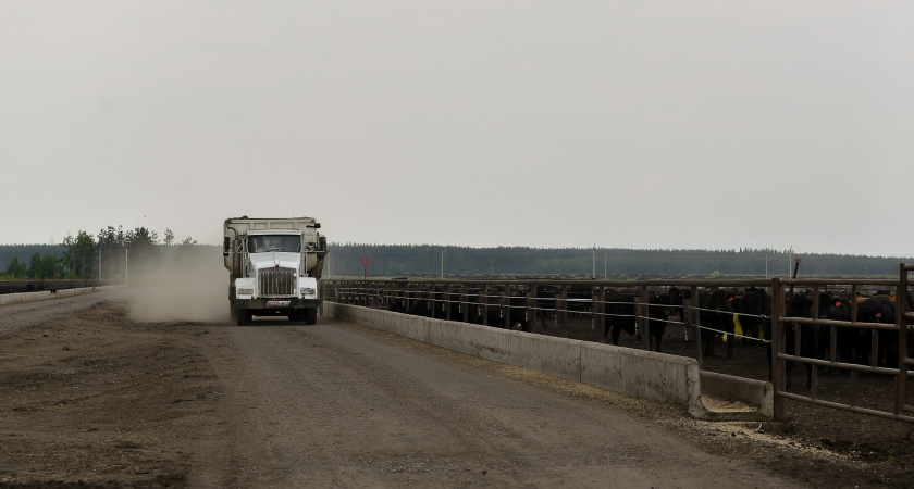 Власти пообещали решить дорожную проблему района под Воронежем