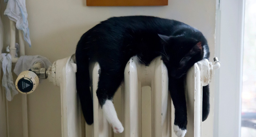 В Воронеже самая низкая плата за отопление составила 86 рублей в месяц 