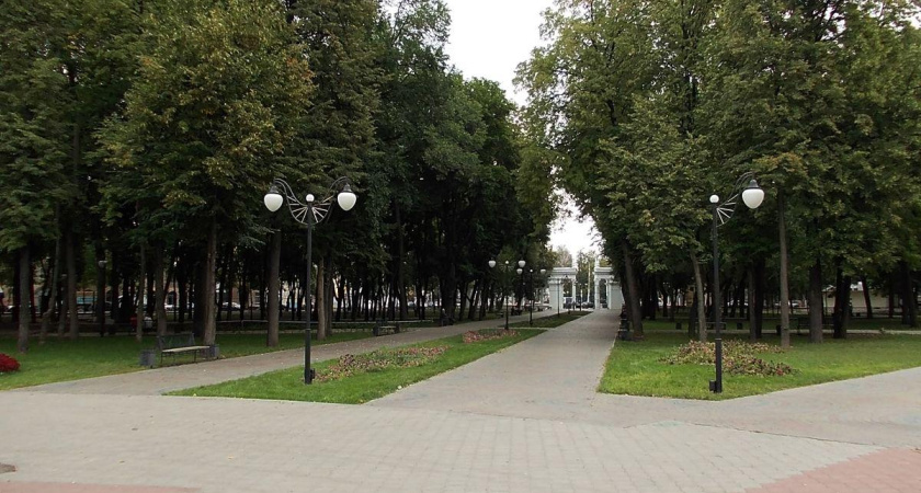 Парк «Орленок» в Воронеже останется без революционных изменений