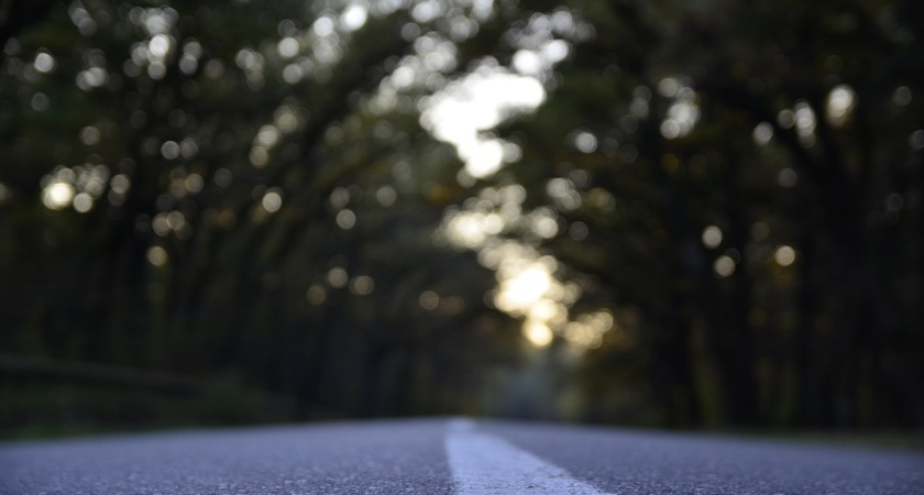 Жители Отрадного высказались против строительства дороги под Воронежем