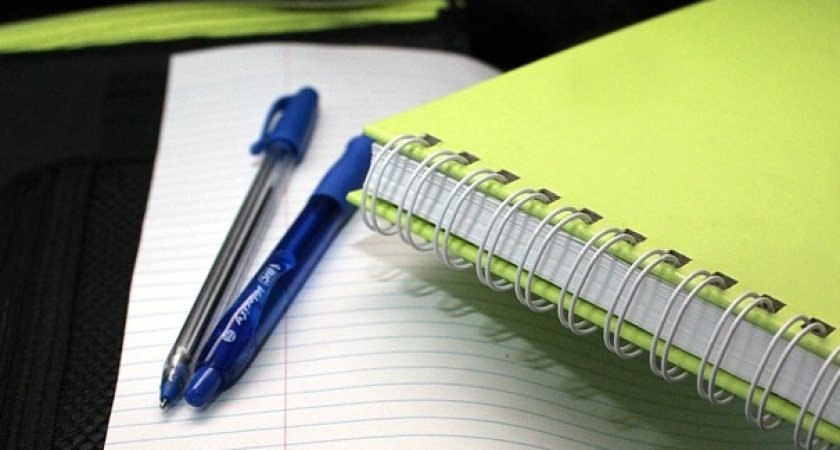 В Воронеже адвокат с «зеленым блокнотом» получила отказ в отводе судей