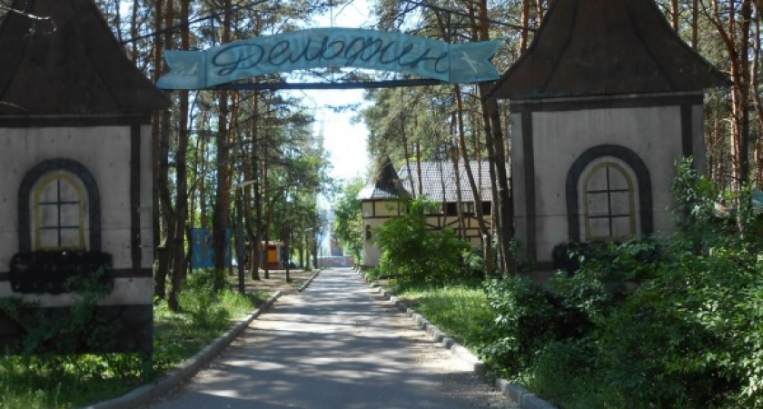 Власти Воронежа решили отдать «Дельфин» инвестору