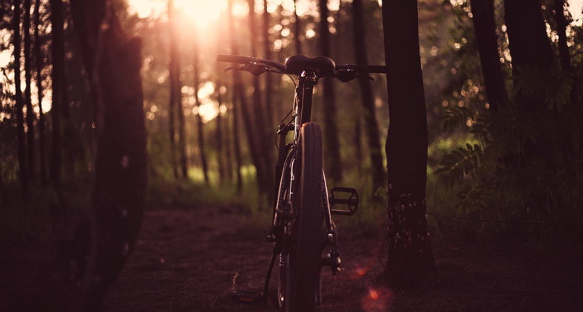 В Воронеже власти планируют построить второй «Олимпик»