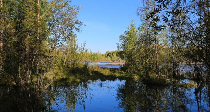 Проект экологической реабилитации реки Воронеж обойдется в 16,8 млн рублей