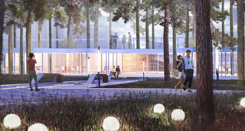 Власти Воронежа представили концепцию развития парка «Дельфин»