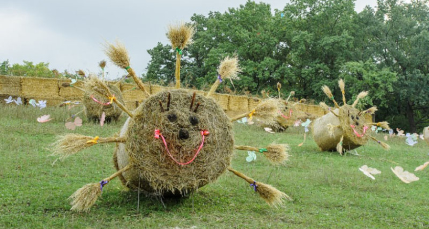 На фестиваль «Город-Сад» воронежцев повезут дешевые шаттлы