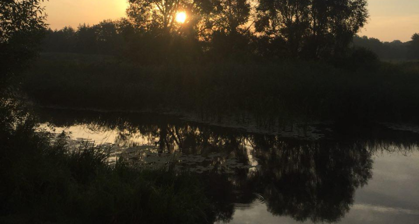 Проектом улучшения качества воды реки Воронеж займется ярославский подрядчик