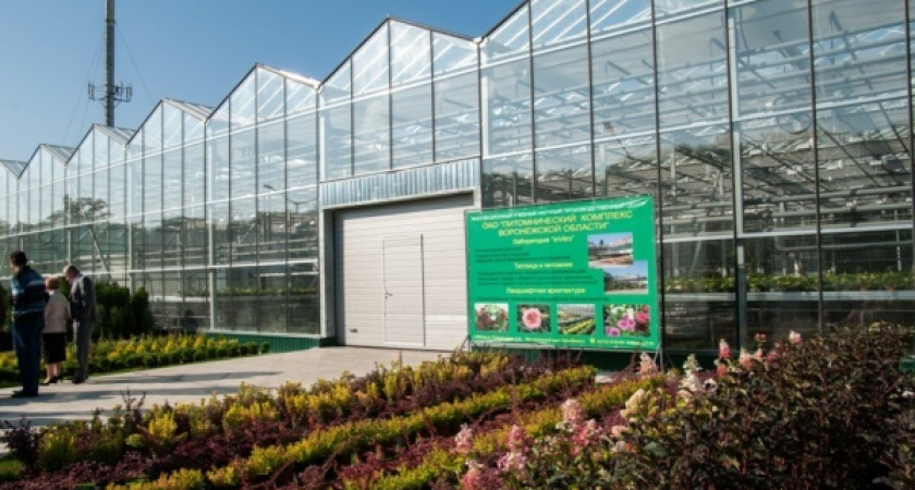 Воронежские власти снова попытаются продать питомник при лестехе 